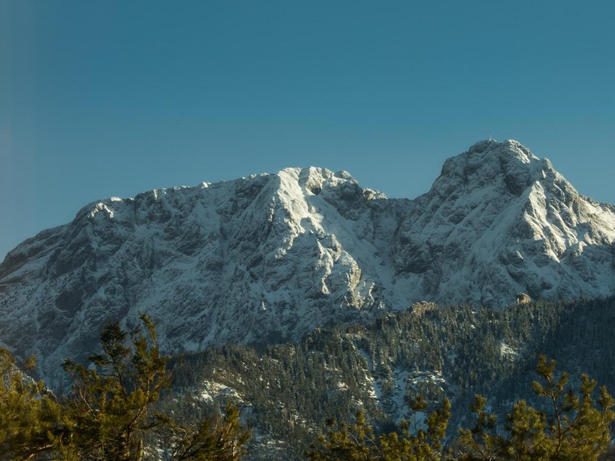 Chalet W Zasiegu Tatr
